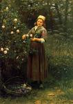 Daniel Ridgway Knight - Резка Розы